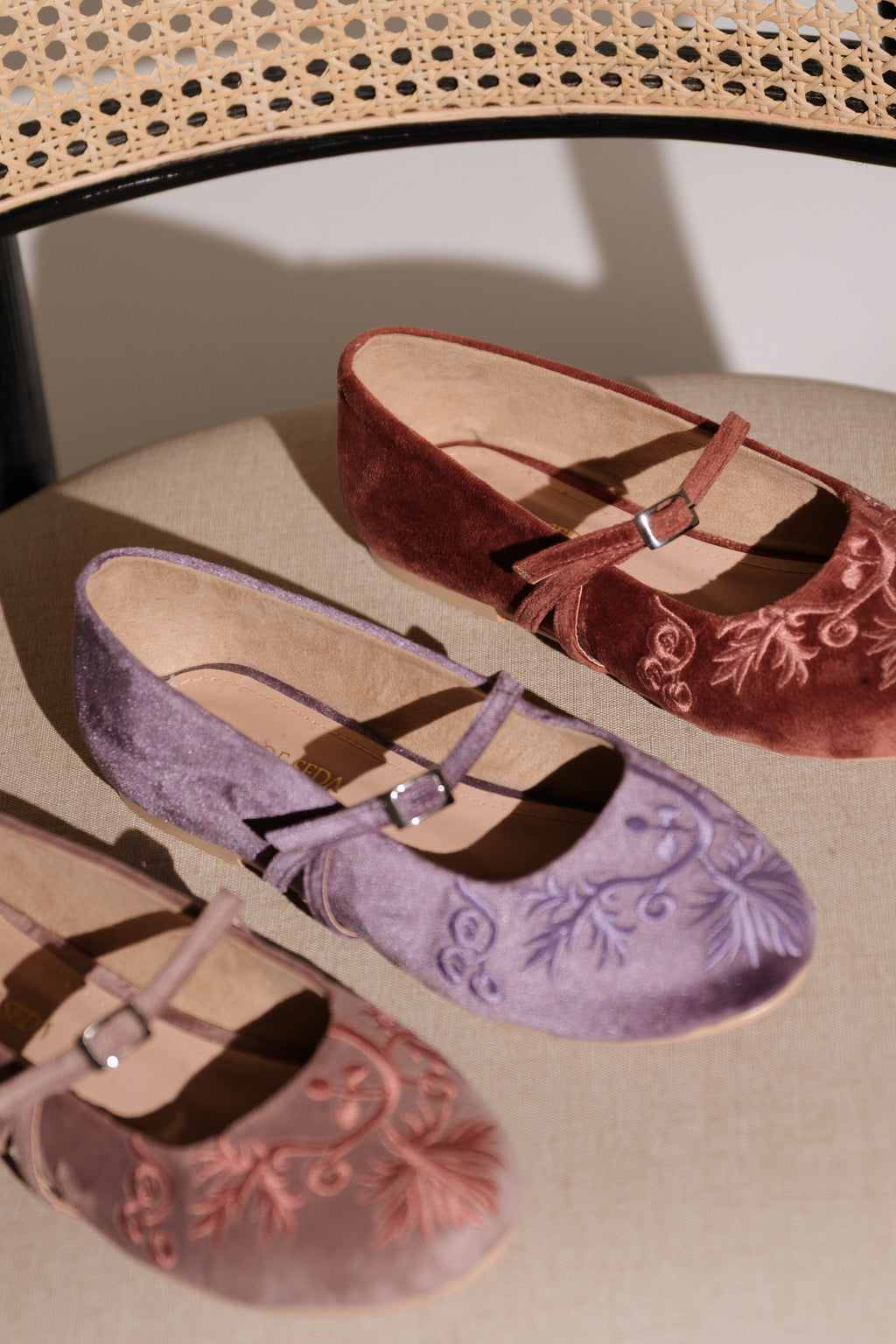 MARY JANES ELOISE